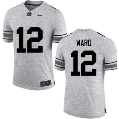 Men's Ohio State Buckeyes #12 Denzel Ward Gray Nike NCAA College Football Jersey Latest RML8344LS